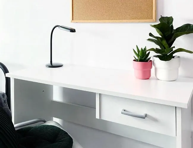 Pro-invest House Vandrarhem *